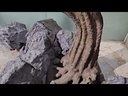 Bonsai tree