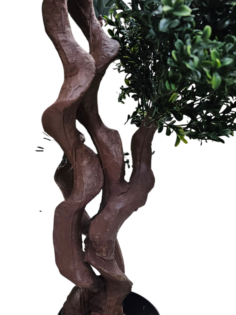 دار