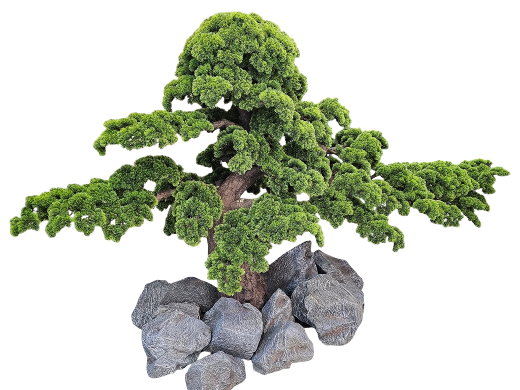 Bonsai tree