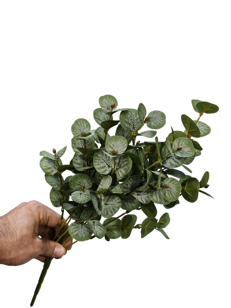 کالیپتۆس