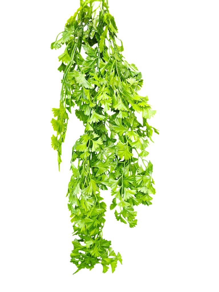 شۆرەبی