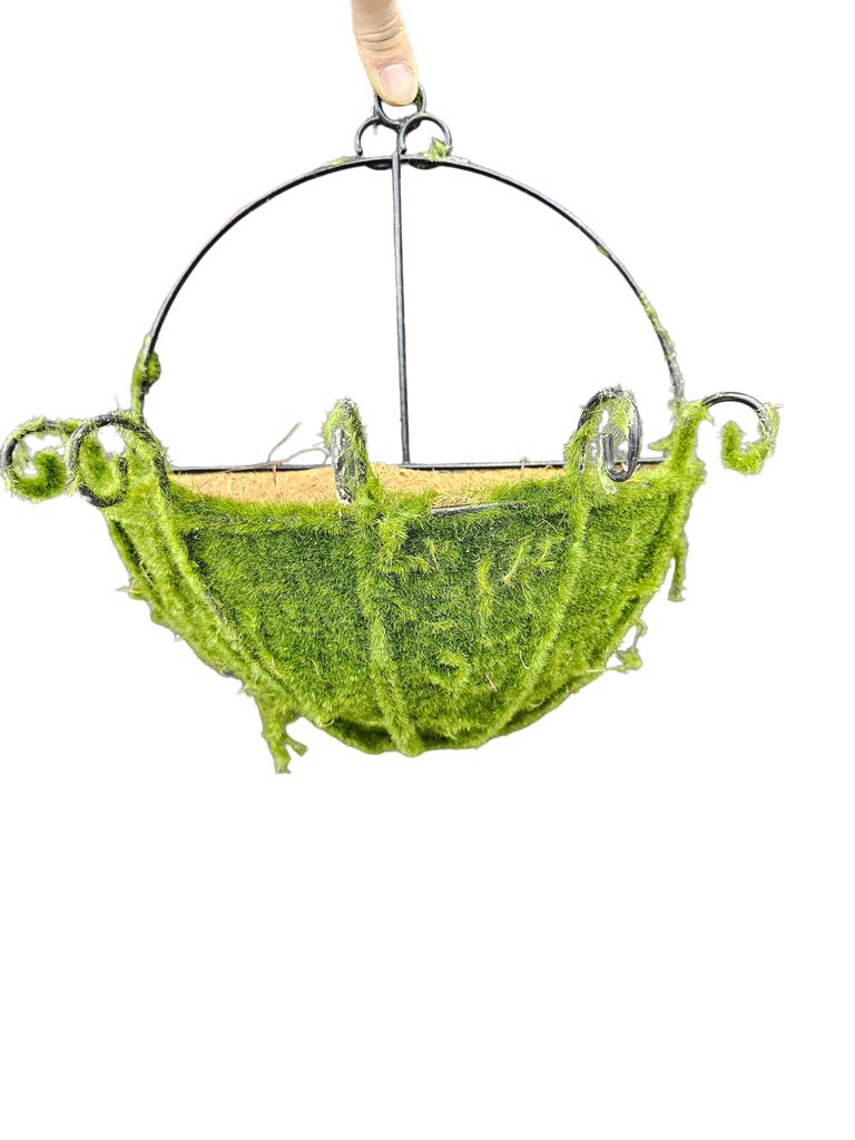 هێلانەی وسط