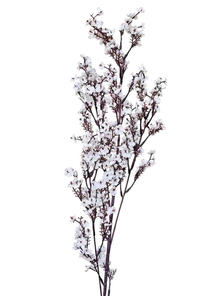 دنکە هەنارە  