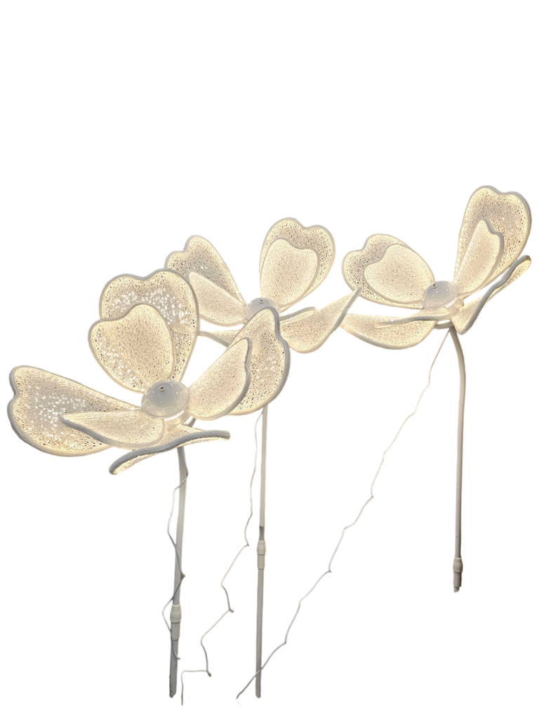 Decoration