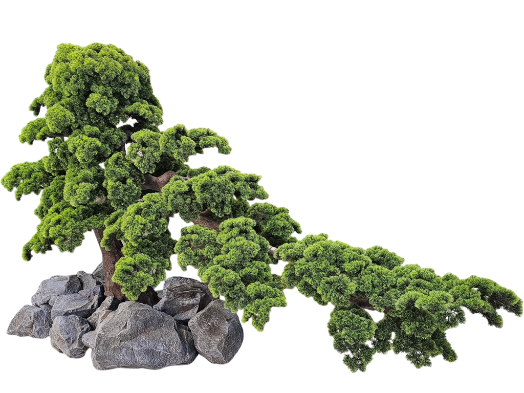 شجرە بونسای