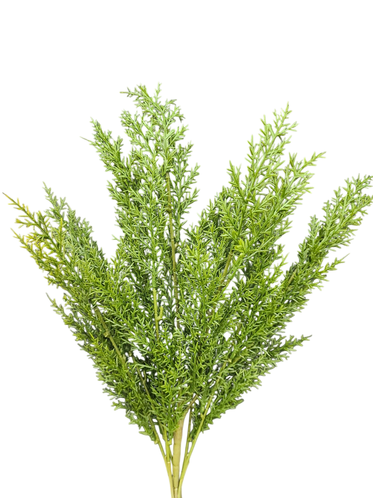 چەپکی سەوز
