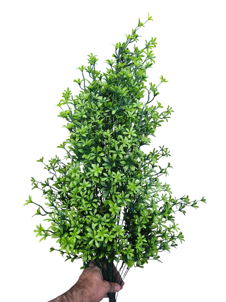 چەپکی سەوز