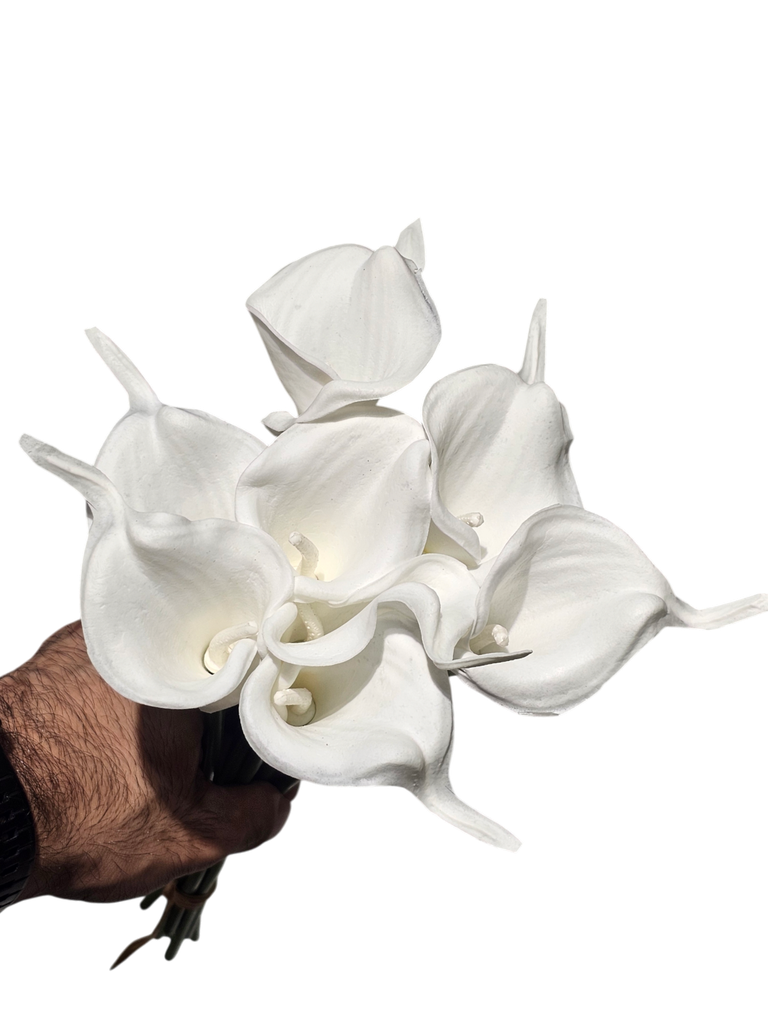 گالە