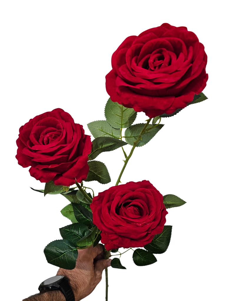 رۆزی ٣ عددی