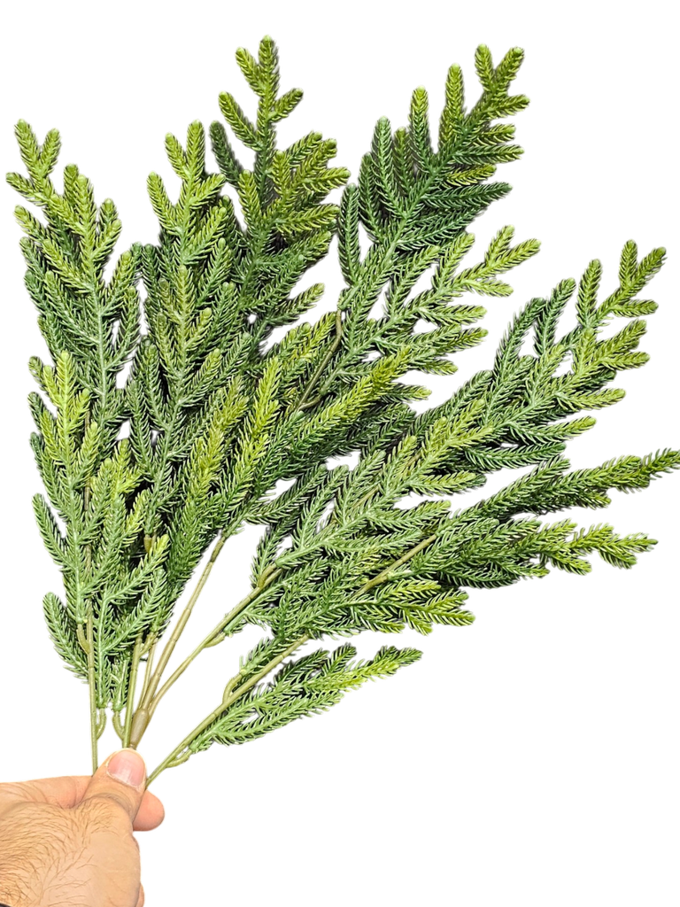 چەپکی سەوز