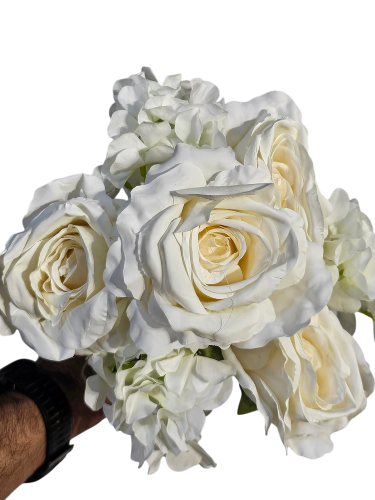 گوڵی ئۆفوایت