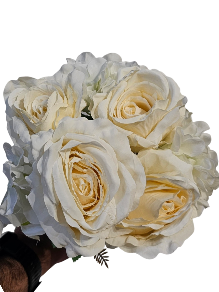 گوڵی سپی