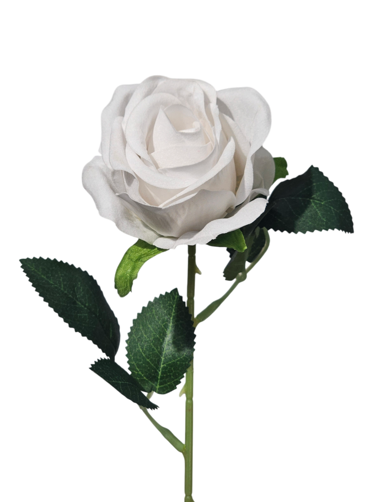 ڕۆزی تاک سپی