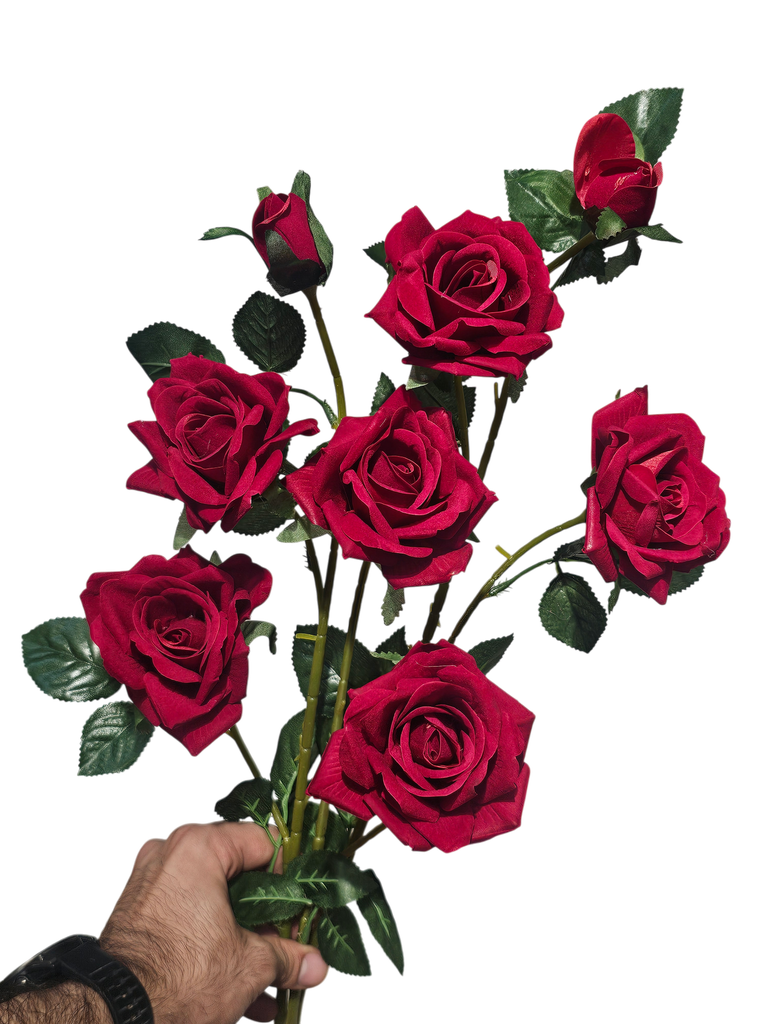 چەپکی رۆز
