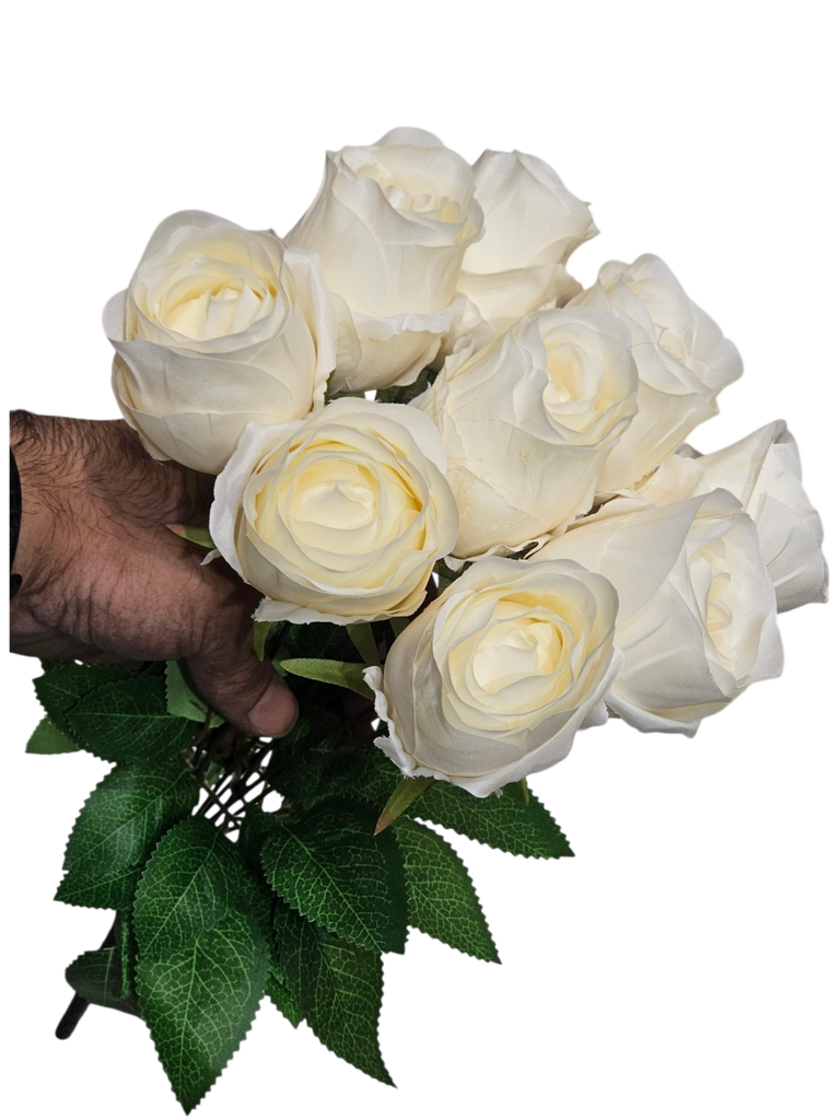 offwhite rose
