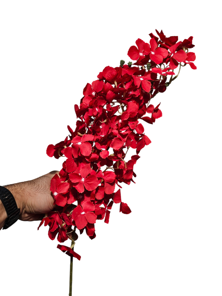 گوڵی نوێ سۆر