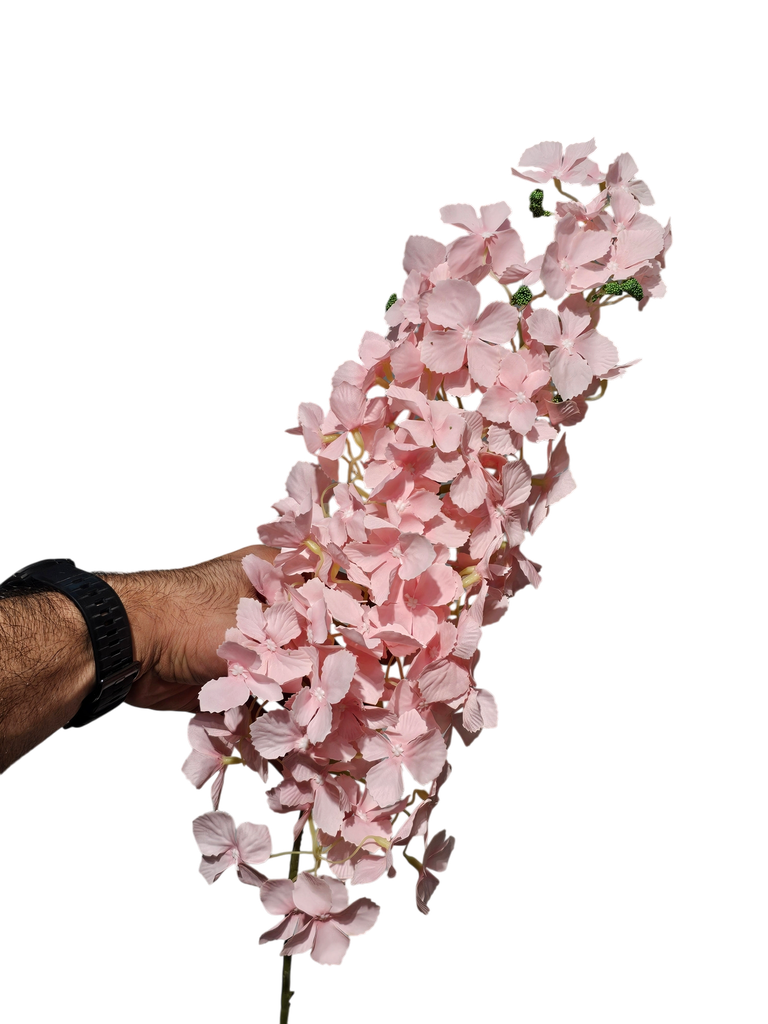 گوڵی نوێ پەمبە