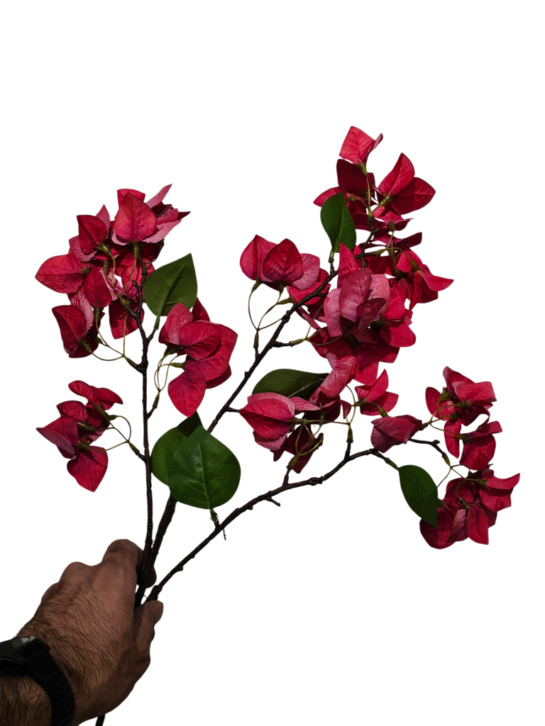 گوڵی جەهەنەمی سوور