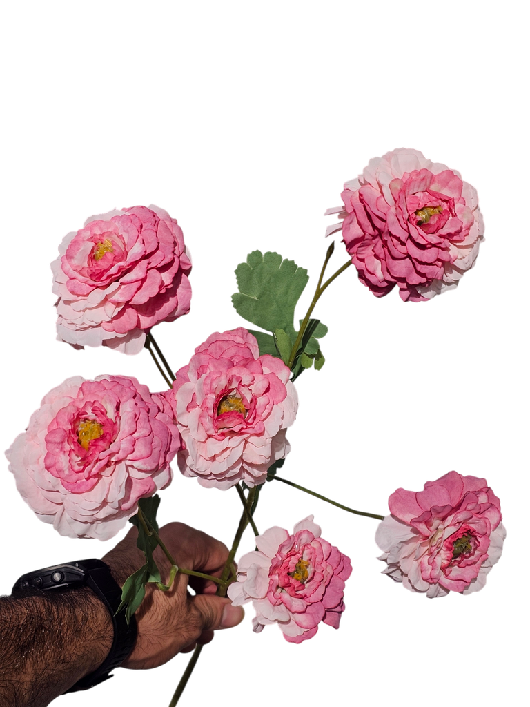 Pink Rose