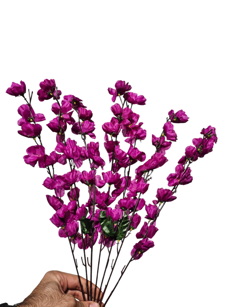 Purple Cherry Blossom 