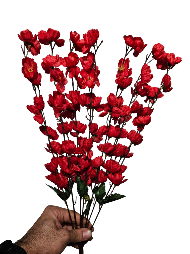 Red Cherry Bossom