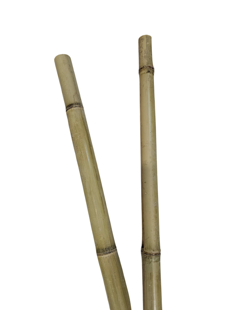 Bamboo Stick