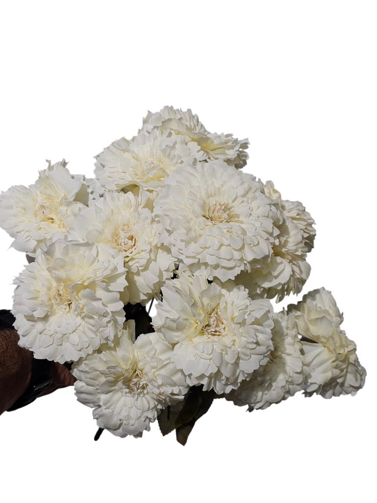 Off White Carnation Flower