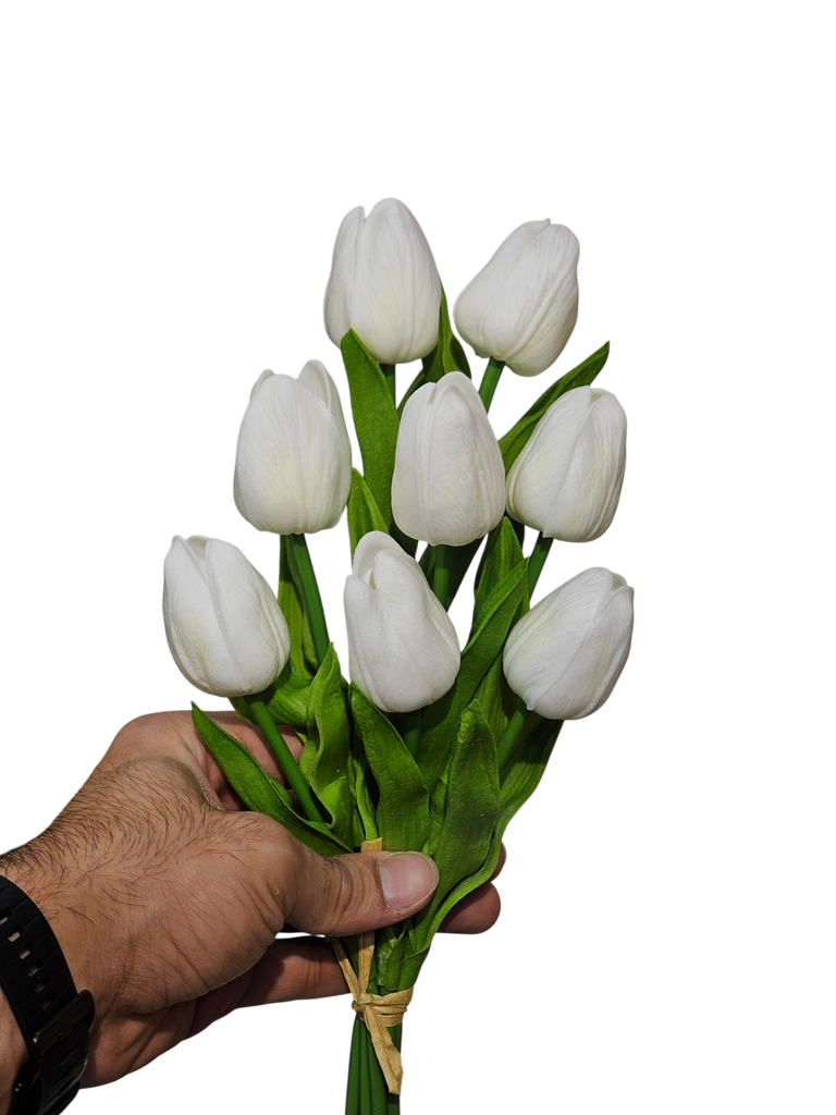 White Tulip