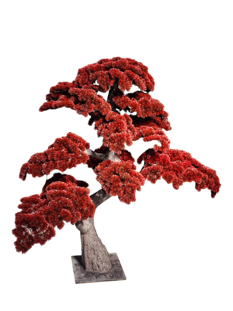 Bonsai tree