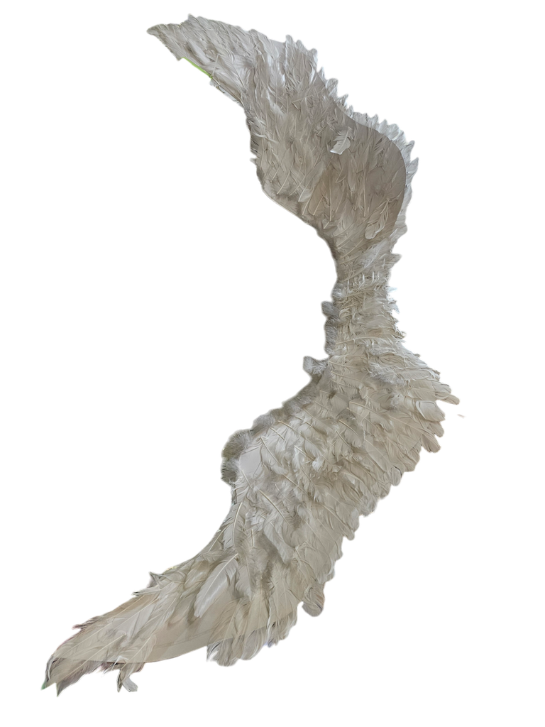 أجنحة الملاك