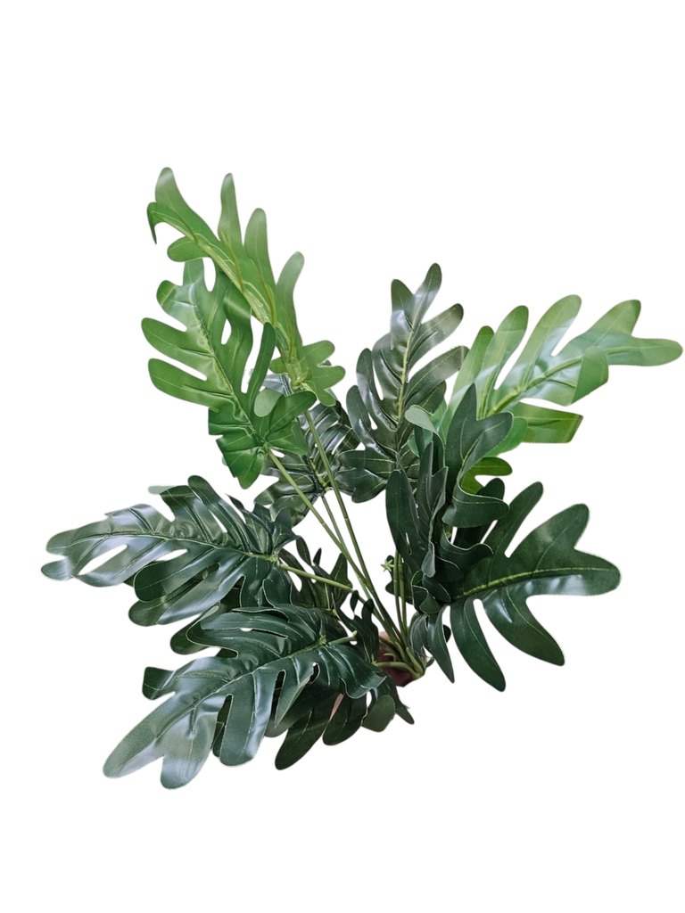 فیلۆدێندرۆن