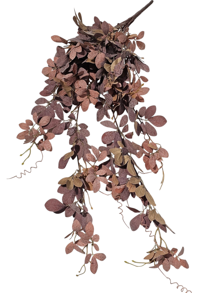 گەڵای پرتەقاڵ