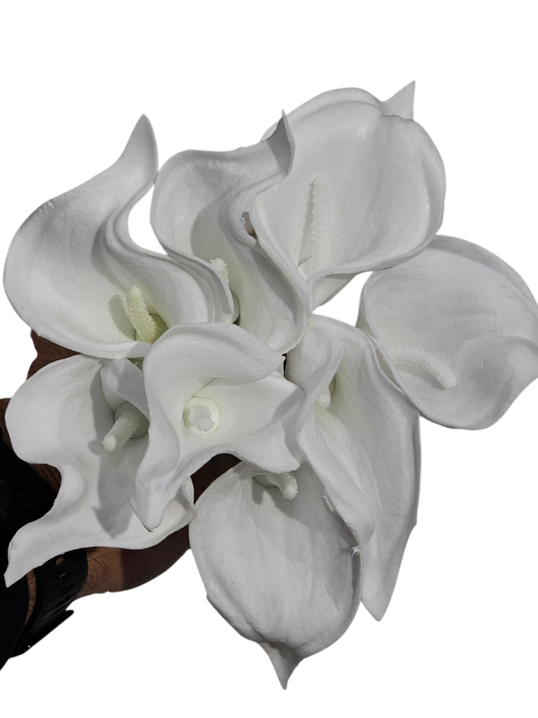 گوڵی کالا