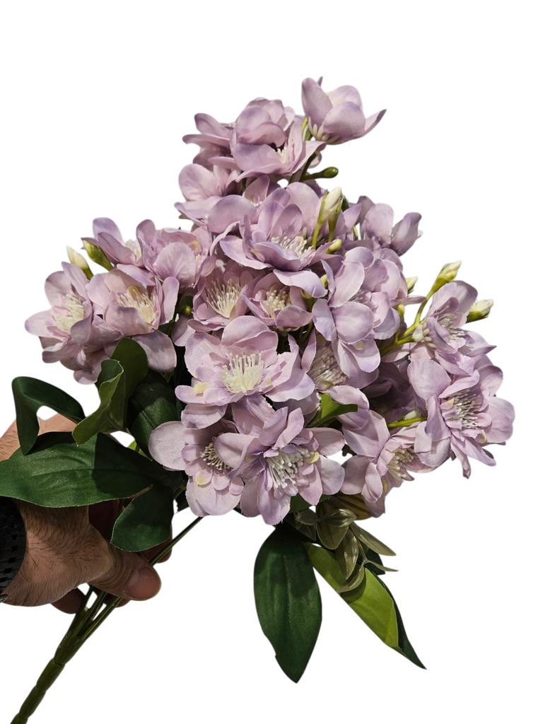 گوڵی قەنەفر     