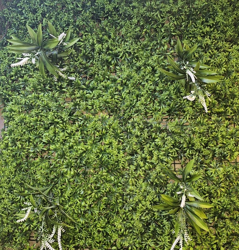 جدران خضراء 50*50