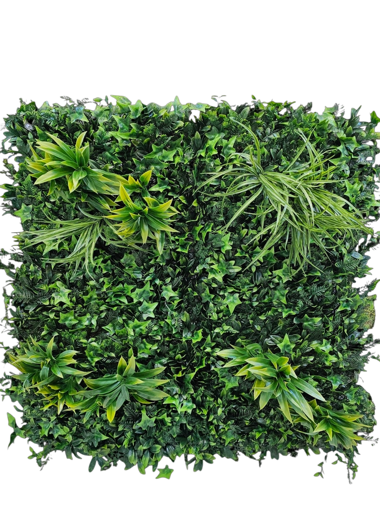 100*100 دیواری سەوز