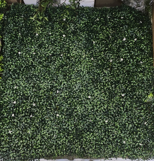 100*100 green wall