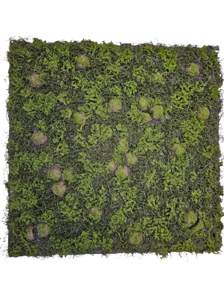 100*100 green wall