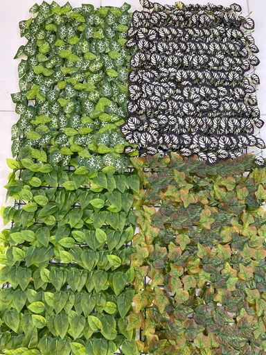 40*60 green wall