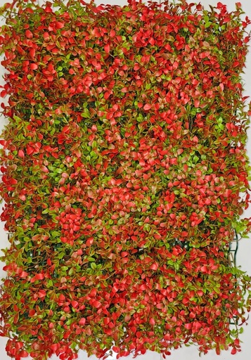 جدار أخضر 40*60