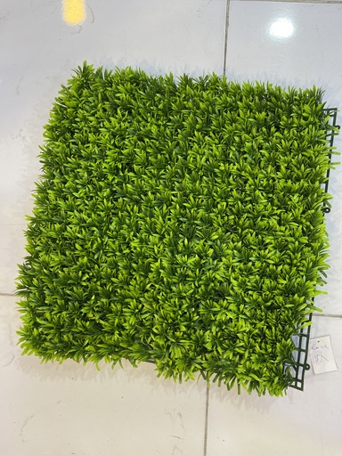 50*50 greenwalls