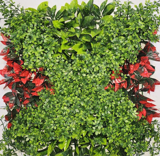 40*60 دیواری سەوز