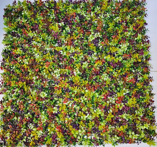 100*100 جرينوول