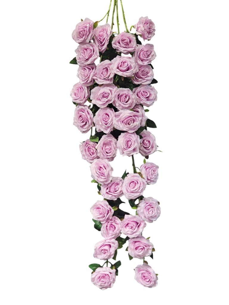 گوڵە درێژەکان