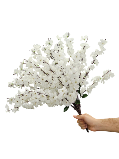 white cherry blossom