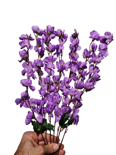 زهرة الكرز البنفسجية الخفيفة