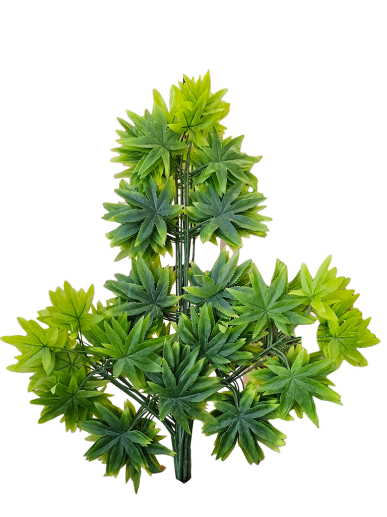 اثنا عشر ورقة