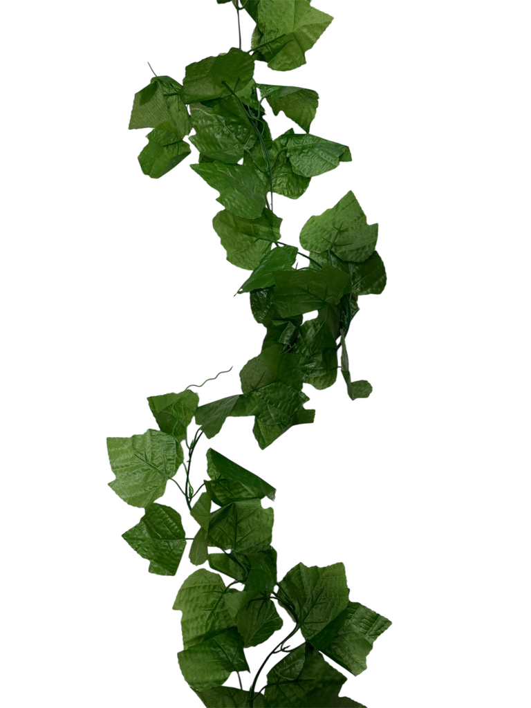 گەڵای درێژی 3 مەتر