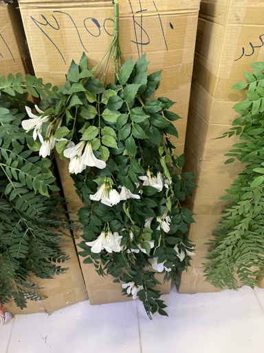 long leaves
