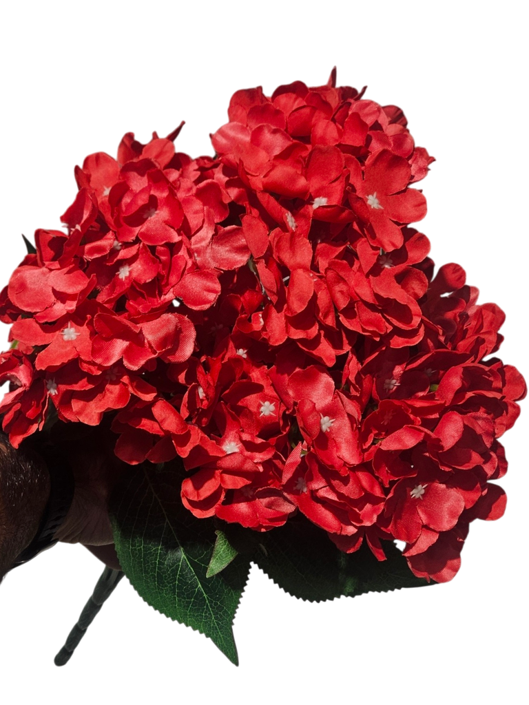 Red Hydrangea